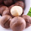 Hạt macca Úc 500gr nhập khẩu Mỹ chất lượng