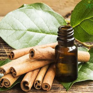 Tinh dầu quế nguyên chất nhập khẩu Hàn Quốc